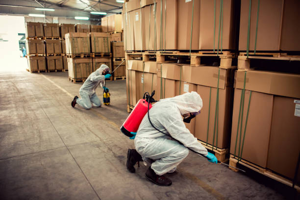 Best Affordable Pest Control Services  in Byrnes Mill, MO